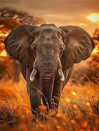5D DIY Diamond Art Painting Kits, Elefant Diamond Painting, Diamant Painting Bilder Erwachsene Malen nach Zahlen, Diamond Painting Runden Steine, Tier Diamant Malerei Handwerk für Wand Décor 40x50cm 5D DIY Diamond Art Painting Kits, Elefant Diamond Painting, Diamant Painting Bilder Erwachsene Malen nach Zahlen, Diamond Painting Runden Steine, Tier Diamant Malerei Handwerk für Wand Décor 40x50cm von Gtohoo