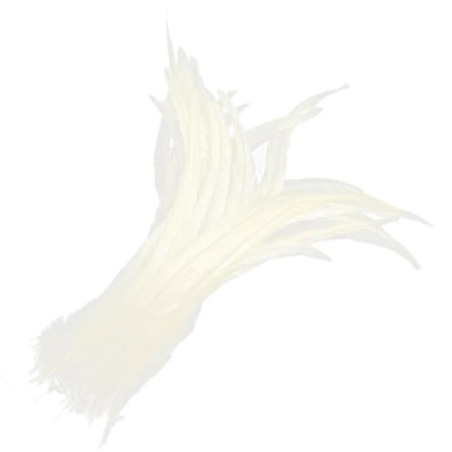 Guangcailun Großhandel Schöne 10PCS Färbende Hahnenschwanzfedern Lebendige Farben, Weiß von Guangcailun
