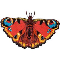 Günther® Flugdrachen Pfauenauge-Schmetterling mehrfarbig von Günther®