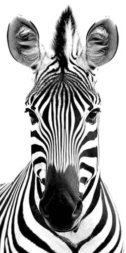 Diamond Painting Erwachsene Groß 30x60 cm, 5D Diamant Painting Bilder Zebra, DIY Diamant Malerei Basteln Erwachsene Kinder Set für Wohnzimmer Schlafzimmer Wand Dekoration, Geschenke für Mädchen x-27 von Guuogxan
