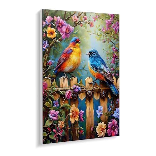 Guuogxan Malen Nach Zahlen Erwachsene, Vogel Bastelset GemäLde,Kreativ Set für Erwachsene Anfänger, DIY GemäLde Kit mit Pinsel und Acrylfarbe Als Geschenk für Wanddeko, Ohne Rahmen 60 x 80 cm u-471 Guuogxan Malen Nach Zahlen Erwachsene, Vogel Bastelset GemäLde,Kreativ Set für Erwachsene Anfänger, DIY GemäLde Kit mit Pinsel und Acrylfarbe Als Geschenk für Wanddeko, Ohne Rahmen 60 x 80 cm u-471 von Guuogxan