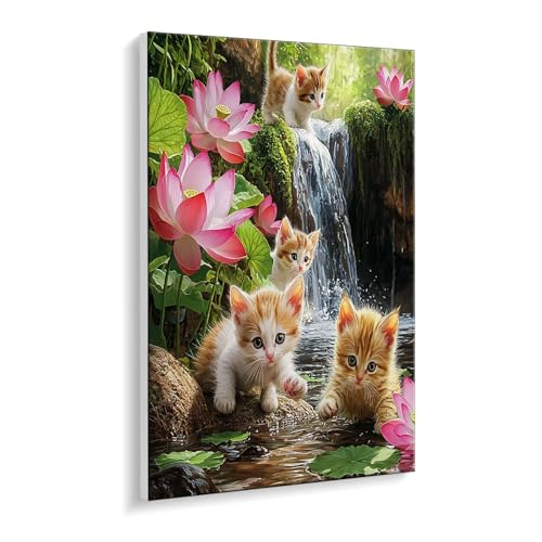 Malen Nach Zahlen Erwachsene, Katze Aussicht Bastelset GemäLde,Kreativ Set für Erwachsene Anfänger, DIY GemäLde Kit mit Pinsel und Acrylfarbe Als Geschenk für Wanddeko, Ohne Rahmen 30 x 40 cm u-417 Malen Nach Zahlen Erwachsene, Katze Aussicht Bastelset GemäLde,Kreativ Set für Erwachsene Anfänger, DIY GemäLde Kit mit Pinsel und Acrylfarbe Als Geschenk für Wanddeko, Ohne Rahmen 30 x 40 cm u-417 von Guuogxan
