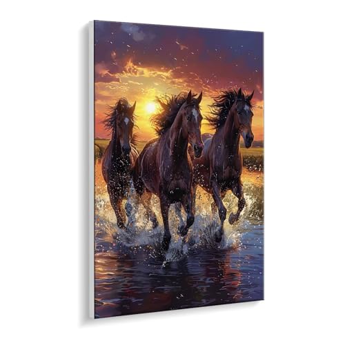 Malen Nach Zahlen Erwachsene, Pferde Bastelset GemäLde,Kreativ Set für Erwachsene Anfänger, DIY GemäLde Kit mit Pinsel und Acrylfarbe Als Geschenk für Wanddeko, Ohne Rahmen 100 x 130 cm u-405 Malen Nach Zahlen Erwachsene, Pferde Bastelset GemäLde,Kreativ Set für Erwachsene Anfänger, DIY GemäLde Kit mit Pinsel und Acrylfarbe Als Geschenk für Wanddeko, Ohne Rahmen 100 x 130 cm u-405 von Guuogxan