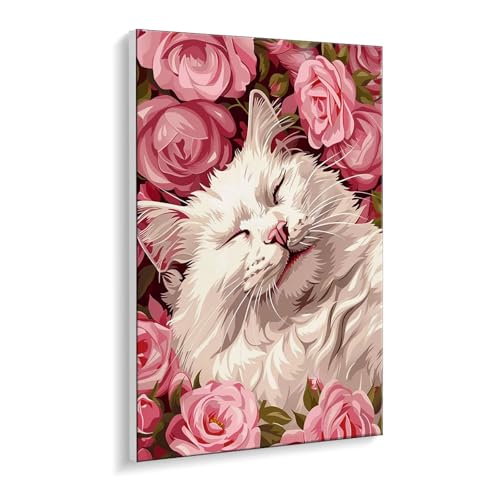 Malen Nach Zahlen Erwachsene, Rose Katze Bastelset GemäLde,Kreativ Set für Erwachsene Anfänger, DIY GemäLde Kit mit Pinsel und Acrylfarbe Als Geschenk für Wanddeko, Ohne Rahmen 60 x 80 cm u-444 Malen Nach Zahlen Erwachsene, Rose Katze Bastelset GemäLde,Kreativ Set für Erwachsene Anfänger, DIY GemäLde Kit mit Pinsel und Acrylfarbe Als Geschenk für Wanddeko, Ohne Rahmen 60 x 80 cm u-444 von Guuogxan