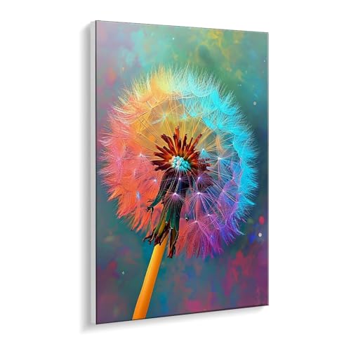 Malen nach Zahlen für Erwachsene – DIY Ölgemälde Set für Anfänger, ohne Rahmen 20 x 30 cm, mit 3 Pinseln & Hochwertigen Acrylfarben, Home Deko Entspannung & Kreativität Geschenk (Prinzessin) i-512 von Guuogxan