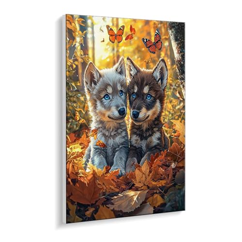 Malen nach Zahlen für Erwachsene – DIY Ölgemälde Set für Anfänger, ohne Rahmen 20 x 30 cm, mit 3 Pinseln & Hochwertigen Acrylfarben, Home Deko Entspannung & Kreativität Geschenk (Wolf Wald) i-372 von Guuogxan