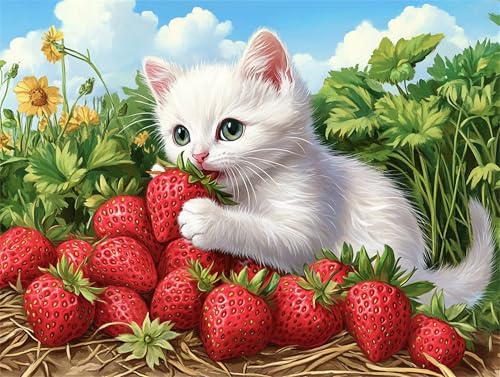 Diamant Painting kinder Erdbeere Kätzchen Diamond Painting Erwachsene Set, Mosaik Bastelset Erwachsene, DIY Full Drill Diamantkunst Stickerei Kreuzstich Kits, Geeignet Décor Geschenk 100x150cm z-519 von Guyosing