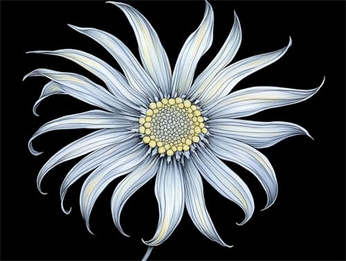 Weiß Blume Diamond Painting Erwachsene Bastelset Set, 5D DIY Diamant Painting Kinder Anfänger Strasssteinen Diamanten Bastelset, Geeignet Dekoration von Zuhause Wohnzimmer Schlafzimmer 40x50cm z-505 Weiß Blume Diamond Painting Erwachsene Bastelset Set, 5D DIY Diamant Painting Kinder Anfänger Strasssteinen Diamanten Bastelset, Geeignet Dekoration von Zuhause Wohnzimmer Schlafzimmer 40x50cm z-505 von Guyosing