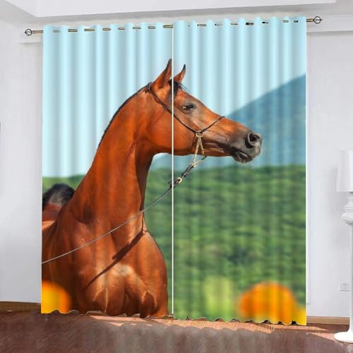 HABEAT 3D Pferd Vorhänge Abdunkelnde Tiere Pferd Kindervorhänge Vorhang mit ösen 2er Set Gardinen Blickdicht Verdunkelungs für Kinderzimmer Schlafzimmer Wohnzimmer B 150 X H 166 cm（Stil 3-4） von HABEAT