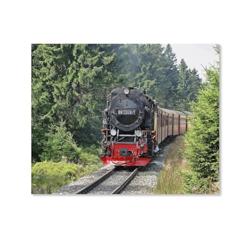 DIY 5D Diamant Malerei Kit,Dampfzug Industriezeitalter Dampflokomotive Zug Vintage Eisenbahn Lokomotive Eisenbahn,Kristall Diamond Painting Kunst Handwerksbedarf für Wohnzimmer Wand Deko50x60cm-249 von HAIDU