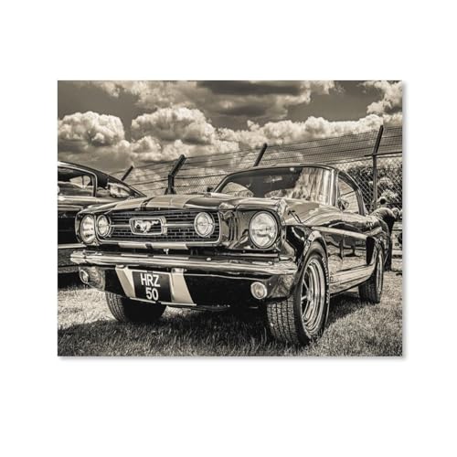 HAIDU 5D DIY Diamond Painting Kit, Retro Mustang Auto Schwarz Weiß Diamond Painting Full Drill Cross Stitch Kit Diamond Painting Kits Strasssteine ​​​​Diamantstickerei, Wanddekoration30x40cm-39 von HAIDU