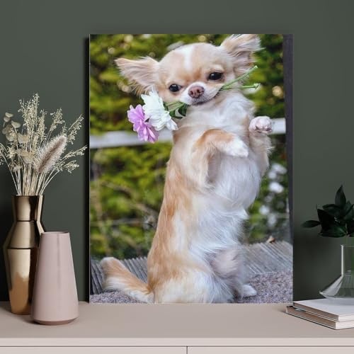 HAIDU DIY 5D Diamond Painting Kits Diamantmalerei Erwachsene Kind Hund mit Blumen Chihuahua für Heimdekoration Volldiamantmalerei（Round Diamond） 40x40cm-106 von HAIDU