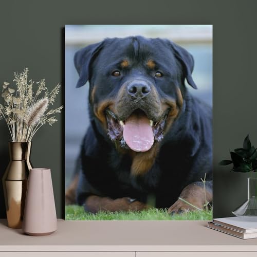 HAIDU DIY Diamond Painting Rottweiler Hund Volle Runde Strass Kunst Mosaik Malerei Bastelset Für Anfänger Wohnkultur（Round Diamond） 30x40cm-188 von HAIDU