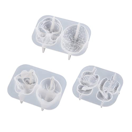 Silikonform für menschliche Organe, Herzform, Epoxidharz, Cupcake, Fondant, Herz, Organ, Silikonform Silikonform für menschliche Organe, Herzform, Epoxidharz, Cupcake, Fondant, Herz, Organ, Silikonform von HAISENG