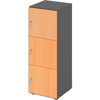 HAMMERBACHER Schließfachschrank grafit, buche V234L3/G/6/DS, 3 Schließfächer 40,0 x 42,0 x 110,0 cm HAMMERBACHER Schließfachschrank grafit, buche V234L3/G/6/DS, 3 Schließfächer 40,0 x 42,0 x 110,0 cm von HAMMERBACHER