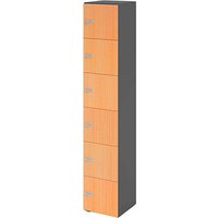 HAMMERBACHER Schließfachschrank grafit, buche V264L6/G/6/ZS, 6 Schließfächer 40,0 x 42,0 x 215,6 cm HAMMERBACHER Schließfachschrank grafit, buche V264L6/G/6/ZS, 6 Schließfächer 40,0 x 42,0 x 215,6 cm von HAMMERBACHER