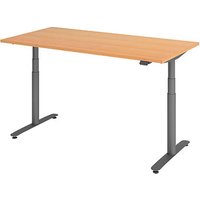 HAMMERBACHER VXDLR16 elektrisch höhenverstellbarer Schreibtisch buche rechteckig, T-Fuß-Gestell grau 160,0 x 80,0 cm von HAMMERBACHER