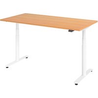 HAMMERBACHER VXDLR16 elektrisch höhenverstellbarer Schreibtisch buche rechteckig, T-Fuß-Gestell weiß 160,0 x 80,0 cm HAMMERBACHER VXDLR16 elektrisch höhenverstellbarer Schreibtisch buche rechteckig, T-Fuß-Gestell weiß 160,0 x 80,0 cm von HAMMERBACHER