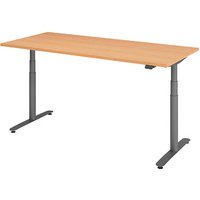 HAMMERBACHER VXDLR19 elektrisch höhenverstellbarer Schreibtisch buche rechteckig, T-Fuß-Gestell grau 180,0 x 80,0 cm HAMMERBACHER VXDLR19 elektrisch höhenverstellbarer Schreibtisch buche rechteckig, T-Fuß-Gestell grau 180,0 x 80,0 cm von HAMMERBACHER