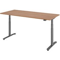 HAMMERBACHER VXDLR19 elektrisch höhenverstellbarer Schreibtisch nussbaum rechteckig, T-Fuß-Gestell grau 180,0 x 80,0 cm HAMMERBACHER VXDLR19 elektrisch höhenverstellbarer Schreibtisch nussbaum rechteckig, T-Fuß-Gestell grau 180,0 x 80,0 cm von HAMMERBACHER