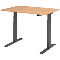 HAMMERBACHER XDKB12 elektrisch höhenverstellbarer Schreibtisch eiche rechteckig, C-Fuß-Gestell grau 120,0 x 80,0 cm von HAMMERBACHER