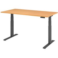 HAMMERBACHER XDKB16 elektrisch höhenverstellbarer Schreibtisch buche rechteckig, C-Fuß-Gestell grau 160,0 x 80,0 cm HAMMERBACHER XDKB16 elektrisch höhenverstellbarer Schreibtisch buche rechteckig, C-Fuß-Gestell grau 160,0 x 80,0 cm von HAMMERBACHER