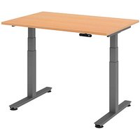 HAMMERBACHER XDSM12 elektrisch höhenverstellbarer Schreibtisch buche rechteckig, T-Fuß-Gestell grau 120,0 x 80,0 cm von HAMMERBACHER