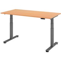 HAMMERBACHER XDSM16 elektrisch höhenverstellbarer Schreibtisch buche rechteckig, T-Fuß-Gestell grau 160,0 x 80,0 cm HAMMERBACHER XDSM16 elektrisch höhenverstellbarer Schreibtisch buche rechteckig, T-Fuß-Gestell grau 160,0 x 80,0 cm von HAMMERBACHER
