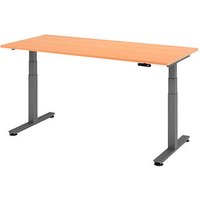HAMMERBACHER XDSM19 elektrisch höhenverstellbarer Schreibtisch buche rechteckig, T-Fuß-Gestell grau 180,0 x 80,0 cm HAMMERBACHER XDSM19 elektrisch höhenverstellbarer Schreibtisch buche rechteckig, T-Fuß-Gestell grau 180,0 x 80,0 cm von HAMMERBACHER