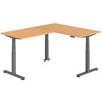 HAMMERBACHER XDSMW1612 elektrisch höhenverstellbarer Schreibtisch buche rechteckig, T-Fuß-Gestell grau 160,0 x 200,0 cm von HAMMERBACHER