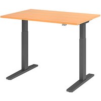 HAMMERBACHER XMKA12 elektrisch höhenverstellbarer Schreibtisch buche rechteckig, C-Fuß-Gestell grau 120,0 x 80,0 cm HAMMERBACHER XMKA12 elektrisch höhenverstellbarer Schreibtisch buche rechteckig, C-Fuß-Gestell grau 120,0 x 80,0 cm von HAMMERBACHER