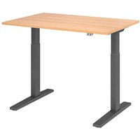 HAMMERBACHER XMKA12 elektrisch höhenverstellbarer Schreibtisch eiche rechteckig, C-Fuß-Gestell grau 120,0 x 80,0 cm von HAMMERBACHER