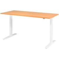 HAMMERBACHER XMKA19 elektrisch höhenverstellbarer Schreibtisch buche rechteckig, C-Fuß-Gestell weiß 180,0 x 80,0 cm HAMMERBACHER XMKA19 elektrisch höhenverstellbarer Schreibtisch buche rechteckig, C-Fuß-Gestell weiß 180,0 x 80,0 cm von HAMMERBACHER