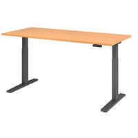 HAMMERBACHER XMKA19 elektrisch höhenverstellbarer Schreibtisch buche rechteckig, C-Fuß-Gestell grau 180,0 x 80,0 cm von HAMMERBACHER