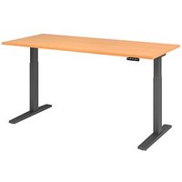 HAMMERBACHER XMKA19 elektrisch höhenverstellbarer Schreibtisch buche rechteckig, C-Fuß-Gestell grau 180,0 x 80,0 cm HAMMERBACHER XMKA19 elektrisch höhenverstellbarer Schreibtisch buche rechteckig, C-Fuß-Gestell grau 180,0 x 80,0 cm von HAMMERBACHER
