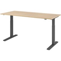 HAMMERBACHER XMKA19 elektrisch höhenverstellbarer Schreibtisch eiche rechteckig, C-Fuß-Gestell grau 180,0 x 80,0 cm von HAMMERBACHER