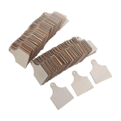 HAMPPLIES 120 Sätze Holzanhänger für Diy-bemalung Unbehandelte Rechteckige Holzschilder mit Schnur Natürliche Holzetiketten für Weihnachtsdeko Basteln und Küchendekoration von HAMPPLIES
