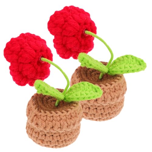 HAMPPLIES 2 Stück Mini -Topfblumen -Ornamente kunstpflanze zartes gehäkeltes Blumenmodell lebensechte gehäkelte Blume gehäkelte Blumenverzierung zarte Häkelblume Häkelstopf Polyester HAMPPLIES 2 Stück Mini -Topfblumen -Ornamente kunstpflanze zartes gehäkeltes Blumenmodell lebensechte gehäkelte Blume gehäkelte Blumenverzierung zarte Häkelblume Häkelstopf Polyester von HAMPPLIES