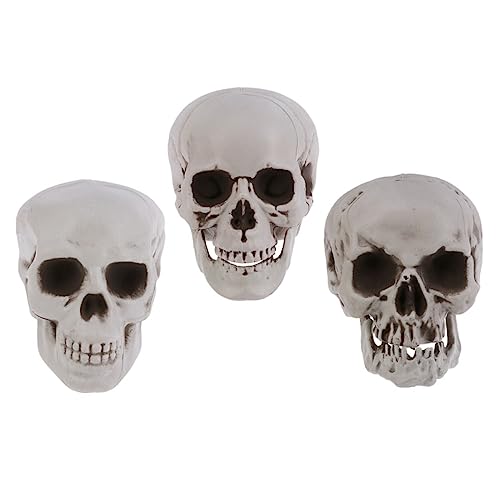 HAMPPLIES 3 Stück Teiliges Halloween Kunststoff Schädel Realistische Skelettköpfe Gruselige Deko für Haunted House Party Tischdekoration Leicht Tragbar HAMPPLIES 3 Stück Teiliges Halloween Kunststoff Schädel Realistische Skelettköpfe Gruselige Deko für Haunted House Party Tischdekoration Leicht Tragbar von HAMPPLIES