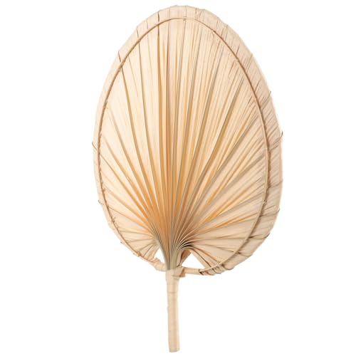 HAMPPLIES Handgefertigter Palmblatt Fächer Vintage Hochzeitsfächer Multifunktionaler Sommerfächer für Partys Strand und Dekoration Leicht Langlebig und Angenehm der Handhaltung von HAMPPLIES