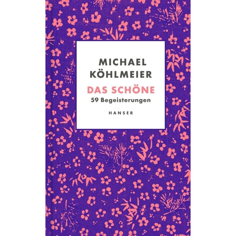 Das Schöne - Michael Köhlmeier, Gebunden von HANSER