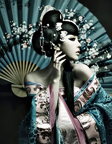 HANTIAN Malen nach Zahlen Anime japanisches Mädchen Geisha tp38 Kits für Anfänger Erwachsene DIY Art Decor Handgemalte Malerei nach Zahlen Kreatives Geschenk Home Decoration 16x20 Zoll rahmenlos von HANTIAN