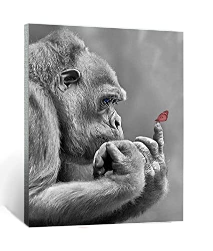 Malen nach Zahlen Kits Kunst Gorilla-Schmetterling  DIY vorgedruckte Leinwand Ölgemälde Geschenk für Erwachsene Kinder Home House Decor 40 * 50 cm rahmenlose von HANTIAN