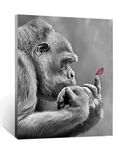 Malen nach Zahlen Kits Kunst Gorilla-Schmetterling DIY vorgedruckte Leinwand Ölgemälde Geschenk für Erwachsene Kinder Home House Decor 40 * 50 cm rahmenlose Malen nach Zahlen Kits Kunst Gorilla-Schmetterling DIY vorgedruckte Leinwand Ölgemälde Geschenk für Erwachsene Kinder Home House Decor 40 * 50 cm rahmenlose von HANTIAN