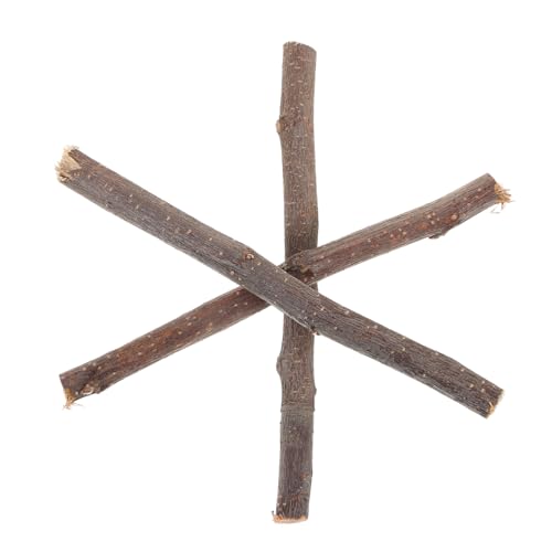 HAPINARY 10 Stück Kleine Holzstab Requisiten, Dekorative Holzstäbe, Rustikale Heimdekorationen, Trockene Äste, Holzstab, Zweigstäbe, Zweige Zum Basteln, Heimwerkerarbeiten, Langlebige HAPINARY 10 Stück Kleine Holzstab Requisiten, Dekorative Holzstäbe, Rustikale Heimdekorationen, Trockene Äste, Holzstab, Zweigstäbe, Zweige Zum Basteln, Heimwerkerarbeiten, Langlebige von HAPINARY