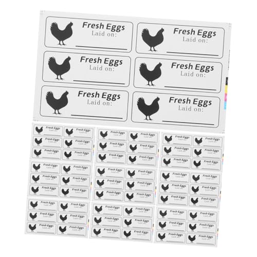 HAPINARY 20 Blatt Frische Eier Aufkleber Selbstklebend Datumsetiketten Für Eierkartons Bauernhof Frische Ei Verpackung Blanko Labels Zum Handbeschriften Frischegarantie Für Haushalt Und HAPINARY 20 Blatt Frische Eier Aufkleber Selbstklebend Datumsetiketten Für Eierkartons Bauernhof Frische Ei Verpackung Blanko Labels Zum Handbeschriften Frischegarantie Für Haushalt Und von HAPINARY