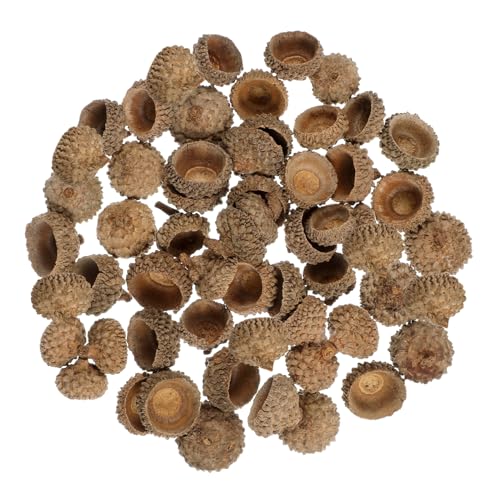 HAPINARY 50 Stück Natürliche Eichelschalen Deko Basteln Set Umweltfreundliche Getrocknete Kappen für Herbstparty Weihnachtsdeko DIY Bastelmaterial Haltbar für Hochzeit und Festliche HAPINARY 50 Stück Natürliche Eichelschalen Deko Basteln Set Umweltfreundliche Getrocknete Kappen für Herbstparty Weihnachtsdeko DIY Bastelmaterial Haltbar für Hochzeit und Festliche von HAPINARY