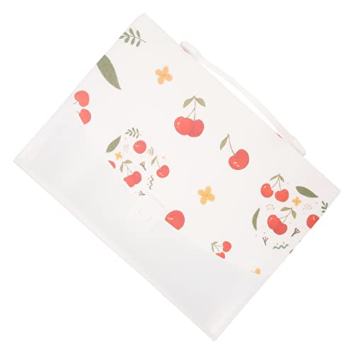 HAPINARY Ordner Dokumenten Organizer, Akkordeon Datei, Entsprechender Datei Organizer, Ablage Organizer, Dokumenten Organizer, Kunststoff Datei Organizer, Dokumentenhalter, Erweiterbarer HAPINARY Ordner Dokumenten Organizer, Akkordeon Datei, Entsprechender Datei Organizer, Ablage Organizer, Dokumenten Organizer, Kunststoff Datei Organizer, Dokumentenhalter, Erweiterbarer von HAPINARY