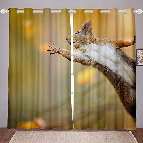 Vorhang Blickdicht Niedliches Eichhörnchen Gardinen mit Ösen 3D Dschungel-Tiere Blickdichte Vorhänge Thermovorhang Kälteschutz Verdunklungsvorhänge für Wohnzimmer Schlafzimmer 2er Set 117x138 cm（BxH) von HATEGE