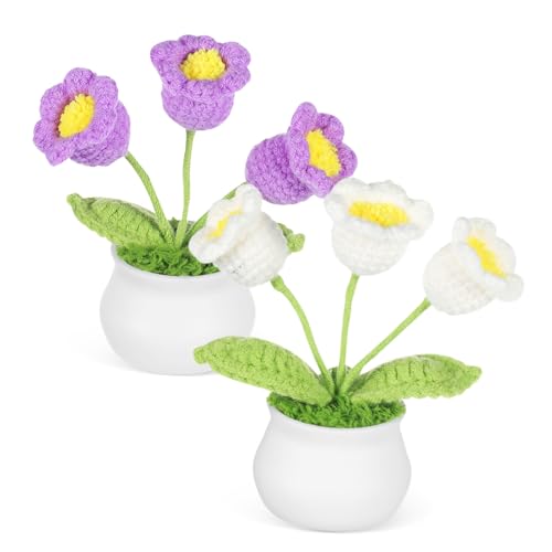 HAWILLOSCH 2 Stück Häkelblumen, Handgefertigte Strickblumen, Gewebte Bonsai-ornamente, Künstliche Blumen, Auto-innendekoration, Desktop-dekoration von HAWILLOSCH